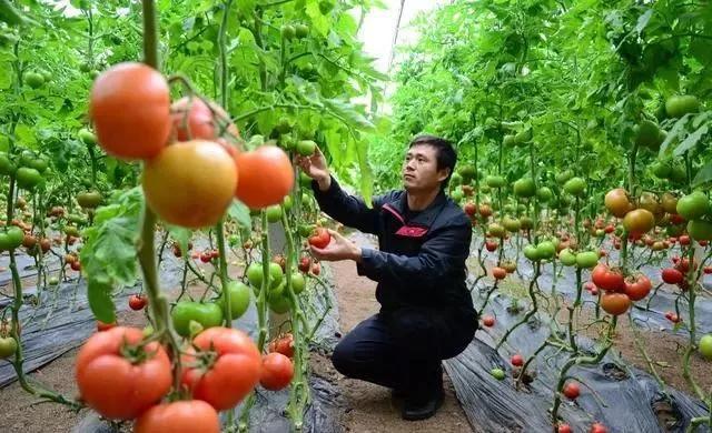 整頓大棚房成了一刀切的代名詞，斷水?dāng)嚯姶u瓦不留，拆成了荒蕪！